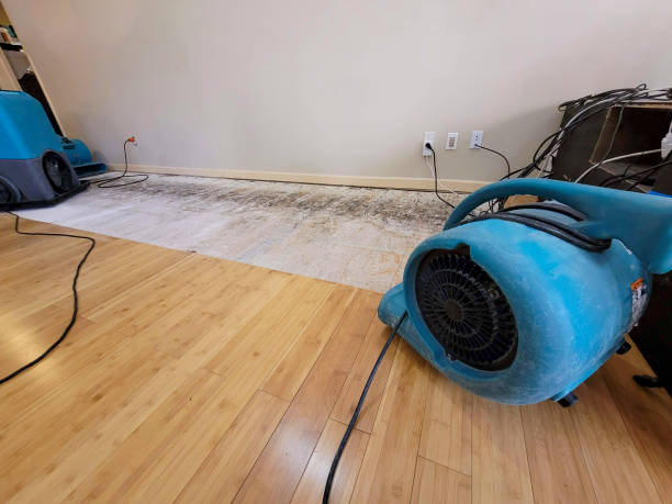 Professional Water Damage Repair technician working in Sherwood, TN